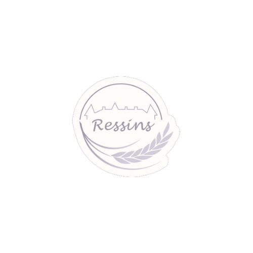 Logo lycée Ressins